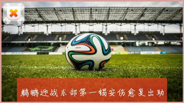 鹈鹕迎战东部第一锡安伤愈复出助力西部逆袭