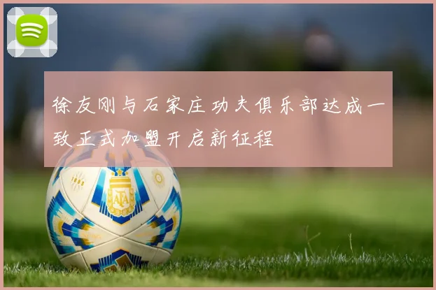 徐友刚与石家庄功夫俱乐部达成一致正式加盟开启新征程