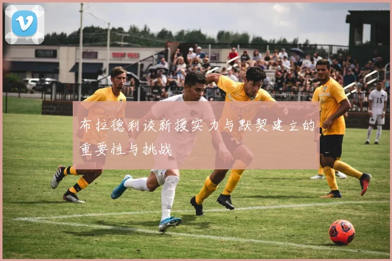 布拉德利谈新援实力与默契建立的重要性与挑战