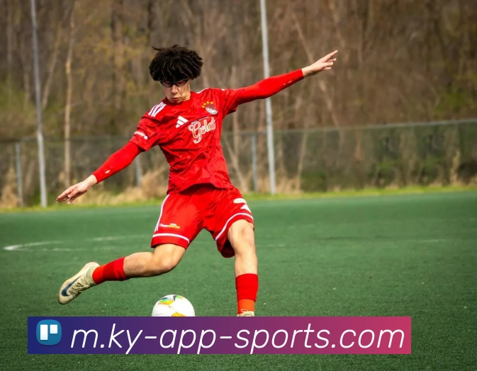 App Interface Preview