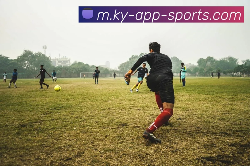 开云体育APP 封面图